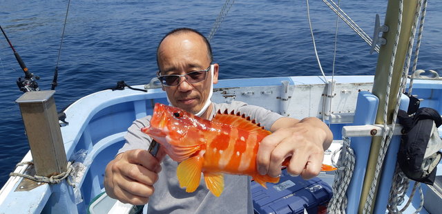 アカハタ の釣果 21年5月30日 二階屋丸 静岡 宇佐美港 船釣り予約 キャスティング船釣り予約