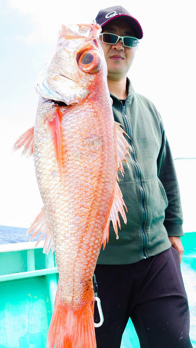 22年3月最新釣果 第8寿広丸 静岡県 の船釣り釣果情報