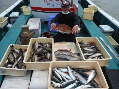 イサギ 25匹 の釣果 21年6月6日 江戸っ子丸 和歌山 美浜港 釣割
