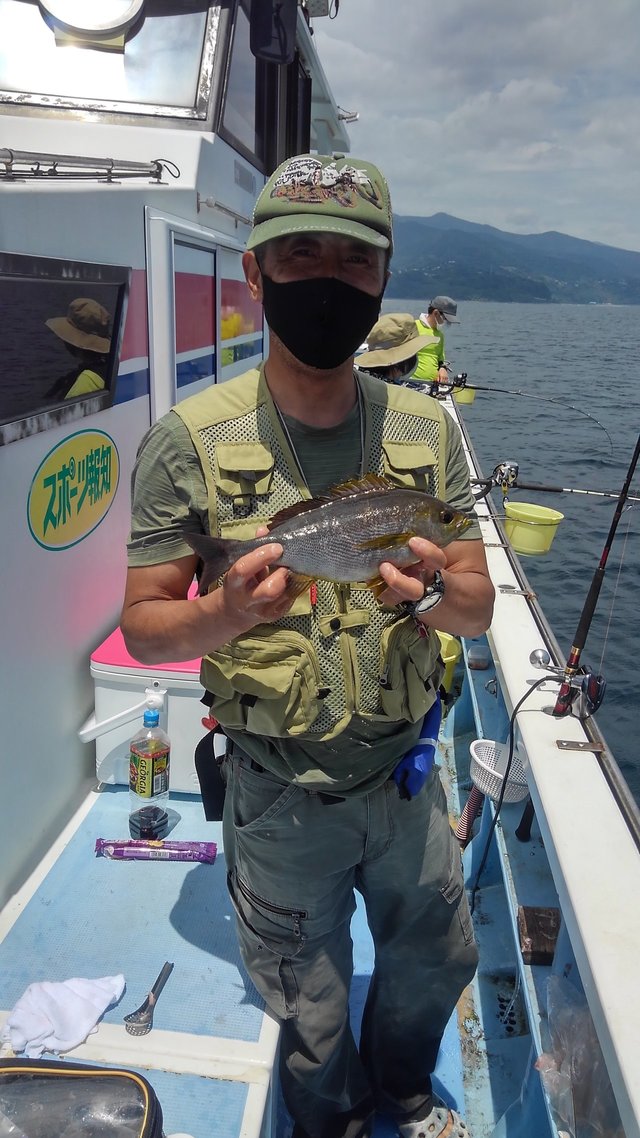 イサキ38cm 15匹 の釣果 21年6月12日 誠いち丸 神奈川 真鶴港 船釣り予約 キャスティング船釣り予約