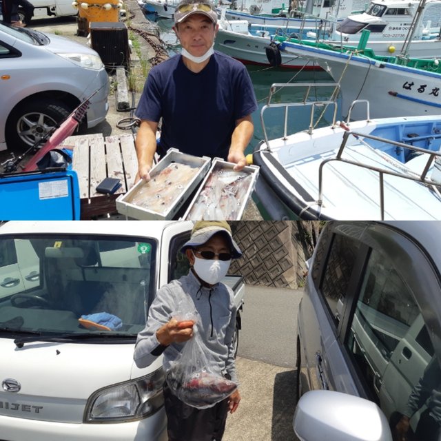 マルイカ の釣果 21年6月22日 二階屋丸 静岡 宇佐美港 船釣り予約 キャスティング船釣り予約