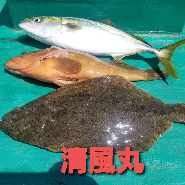 22年2月最新釣果 清風丸 和歌山県 の船釣り釣果情報