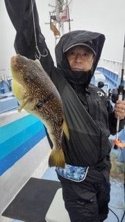 ショウサイフグ45cm 13匹 の釣果 21年7月9日 不動丸 茨城 鹿嶋旧港 船釣り予約 キャスティング船釣り予約 ショウサイフグ45cm 13匹 の釣果 21年7月9日 不動丸 茨城 鹿嶋旧港 船釣り予約 キャスティング船釣り予約