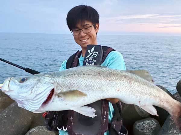 シーバス80cm！1匹！の釣果｜2021年7月21日｜いとう釣具店 海渡（新潟