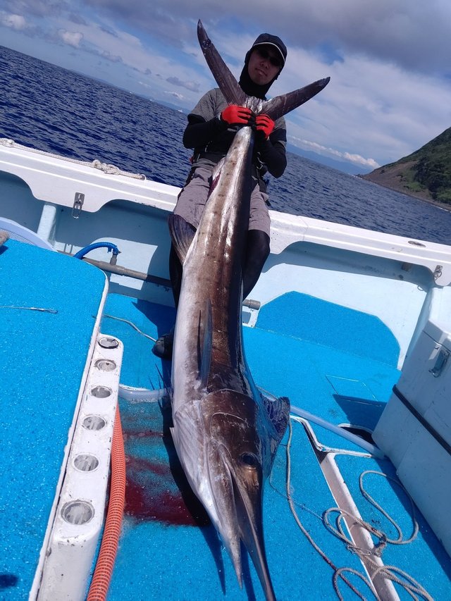 キハダマグロ25 00kg 1匹 の釣果 21年7月21日 恵丸 静岡 釣割