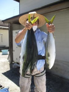 ワラサ4 00kg 3匹 の釣果 21年8月4日 浜福丸 神奈川 釣割