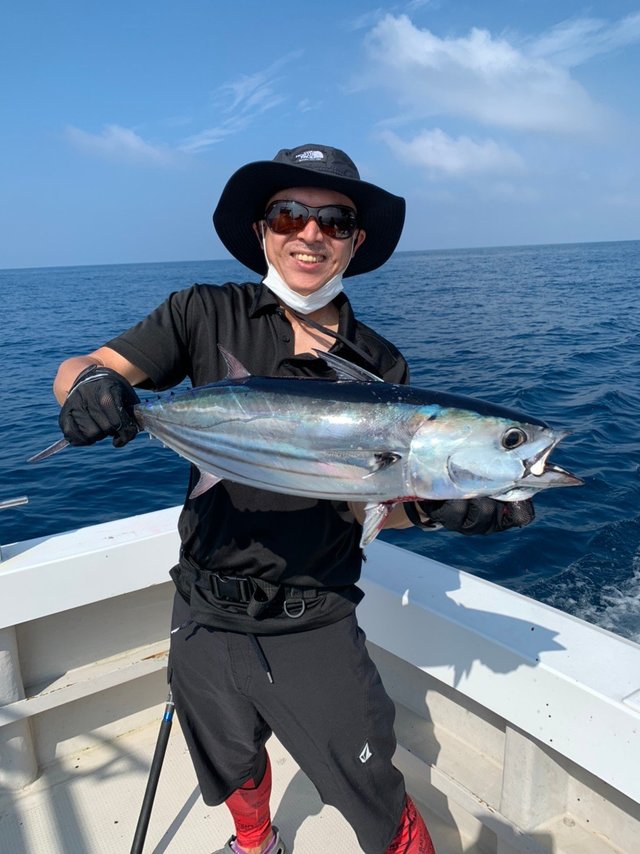 カツオ の釣果 21年8月4日 ｵｸﾄﾊﾟｽ 福岡 釣割