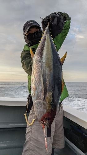 カツオ5 00kg 4匹 の釣果 21年9月11日 信栄丸 茨城 波崎港 釣割