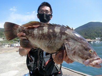 クエ67cm 1匹 の釣果 21年9月日 上野渡船 和歌山 大引港 釣割
