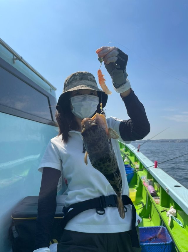フグ の釣果 21年9月24日 野毛屋釣船店 神奈川 釣割 フグ の釣果 21年9月24日 野毛屋釣船店 神奈川 釣割