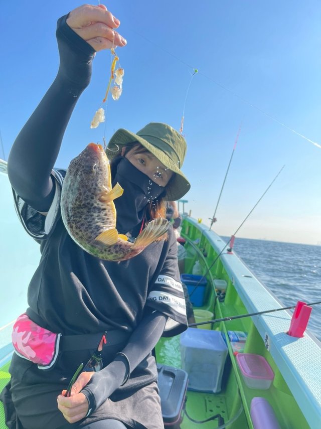 フグ の釣果 21年9月24日 野毛屋釣船店 神奈川 釣割 フグ の釣果 21年9月24日 野毛屋釣船店 神奈川 釣割