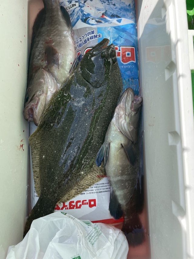 21年10月最新釣果 よしえ丸 千葉県 の船釣り釣果情報