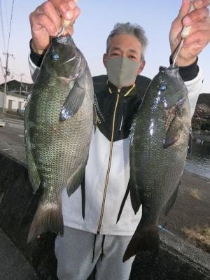 グレ43cm 16匹 の釣果 21年12月3日 上野渡船 和歌山 大引港 釣割 グレ43cm 16匹 の釣果 21年12月3日 上野渡船 和歌山 大引港 釣割