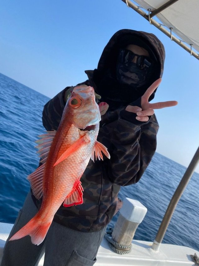 長崎県 アカムツの釣果情報をリアルタイム配信 22年7月版