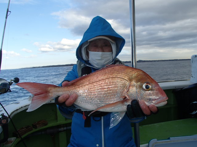 マダイ2 00kg 2匹 の釣果 22年1月13日 浜福丸 神奈川 釣割