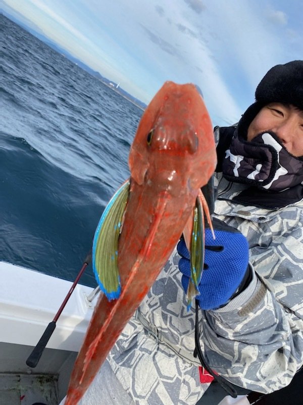 長崎県で釣れたホウボウの最新釣果 釣り情報 22年12月