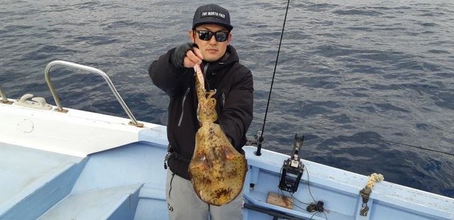 静岡県で釣れたヤリイカの最新釣果 釣り情報 22年11月