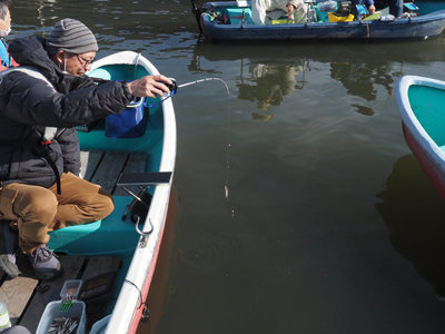 ワカサギ15cm 100匹 の釣果 22年1月29日 高滝湖観光 企業組合 千葉 高滝湖 釣割