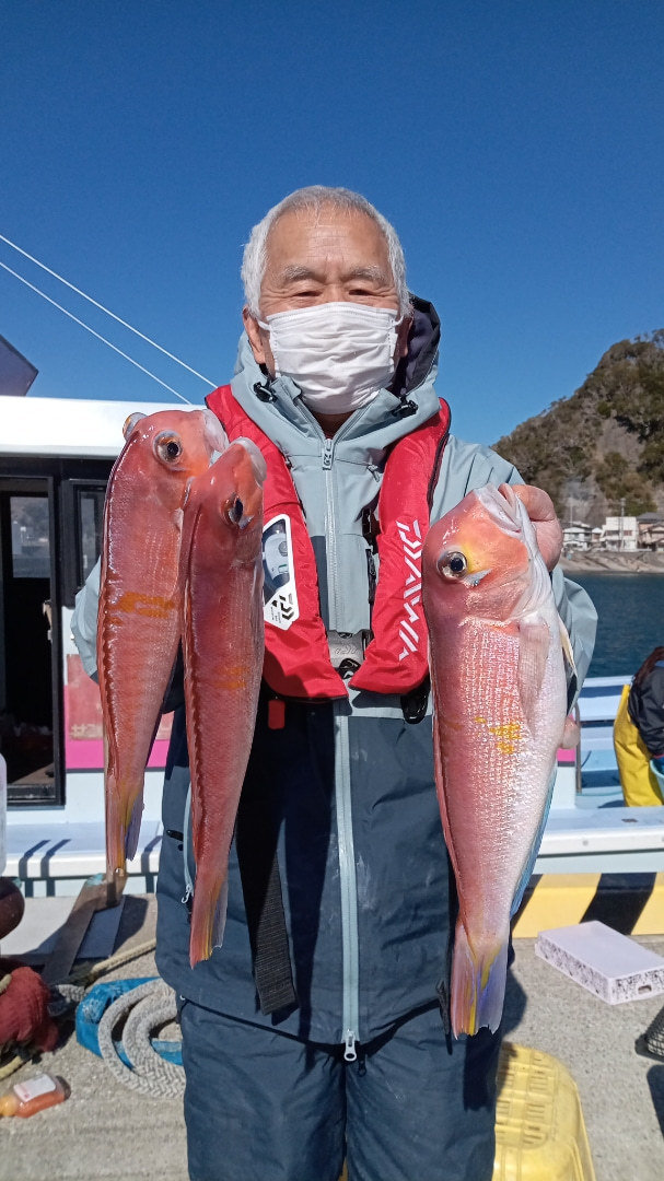 アマダイ 3匹 の釣果 22年1月31日 寿々木丸 千葉 小湊港 釣割