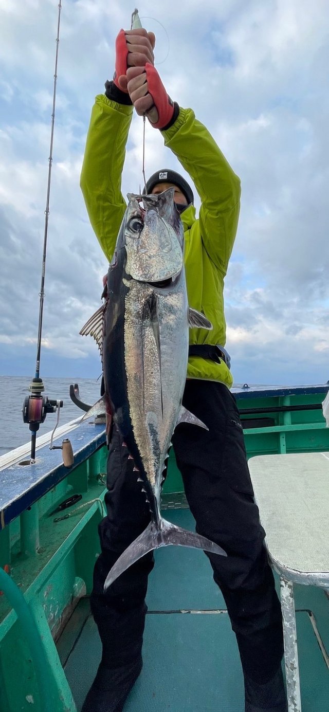 静岡県で釣れたビンナガの最新釣果 釣り情報 22年11月