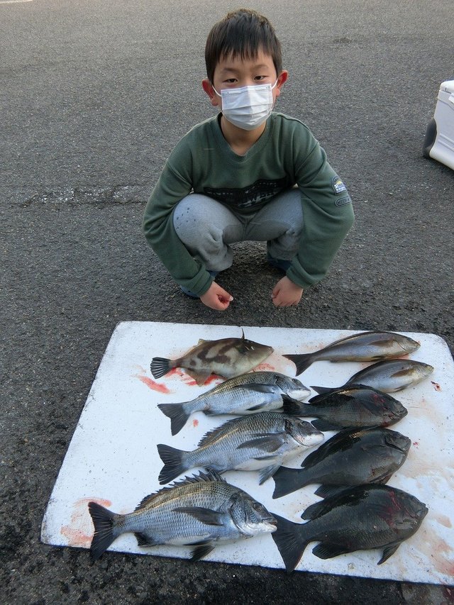 グレ32cm 3匹 の釣果 22年2月12日 上野渡船 和歌山 大引港 釣割 グレ32cm 3匹 の釣果 22年2月12日 上野渡船 和歌山 大引港 釣割