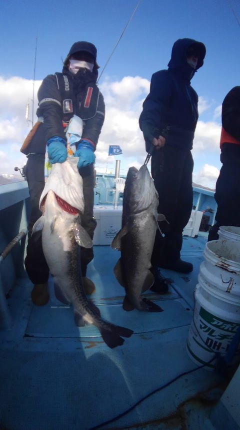 岩手県で釣れたマダラの最新釣果 釣り情報 22年11月