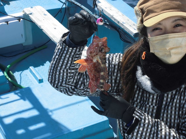 高知県で釣れたオニオコゼの最新釣果 釣り情報 22年9月