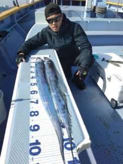 タチウオ113cm 8匹 の釣果 22年3月21日 宮川丸 千葉 木更津港 船釣り予約 キャスティング船釣り予約