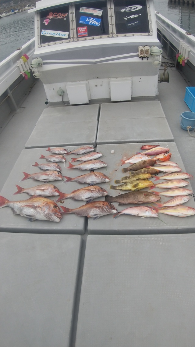 長崎県で釣れたアカアマダイの最新釣果 釣り情報 22年9月