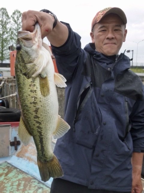 ブラックバス53cm の釣果 22年4月26日 小林貸船釣具店 滋賀 琵琶湖 釣割 ブラックバス53cm の釣果 22年4月26日 小林貸船釣具店 滋賀 琵琶湖 釣割