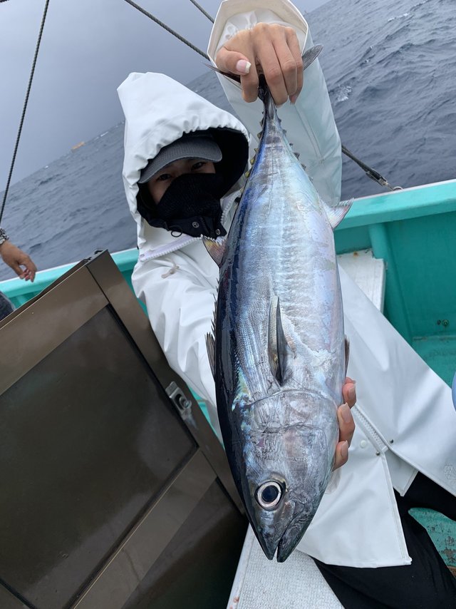 千葉県で釣れたクロマグロの最新釣果 釣り情報 22年10月