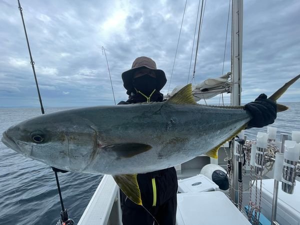 関西エリア ヒラマサの釣果情報をリアルタイム配信 22年7月版 関西エリア ヒラマサの釣果情報をリアルタイム配信 22年7月版