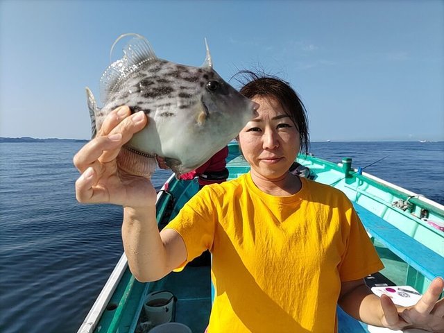 カワハギ30cm 13匹 の釣果 22年5月24日 彦次郎丸 千葉 上総湊港 船釣り予約 キャスティング船釣り予約
