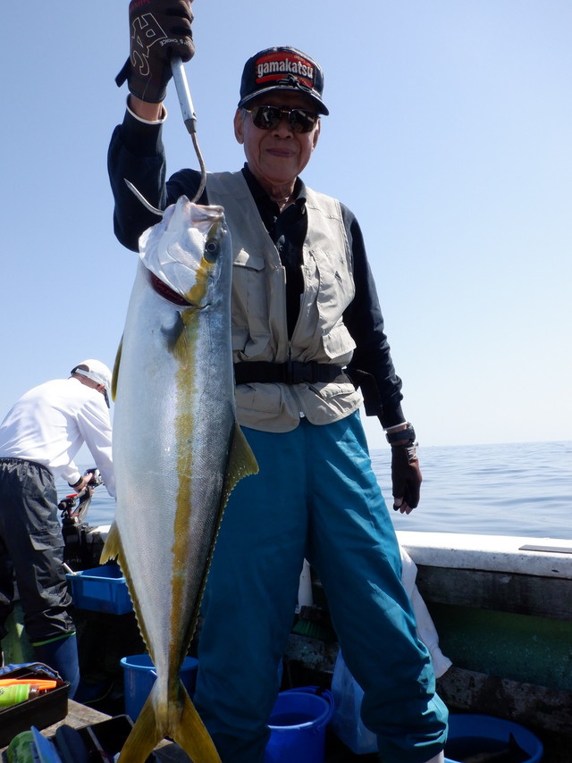 関西エリア ヒラマサの釣果情報をリアルタイム配信 22年7月版 関西エリア ヒラマサの釣果情報をリアルタイム配信 22年7月版