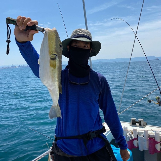 関西エリア シロサバフグの釣果情報をリアルタイム配信 22年7月版