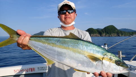 関西エリア ヒラマサの釣果情報をリアルタイム配信 22年7月版 関西エリア ヒラマサの釣果情報をリアルタイム配信 22年7月版