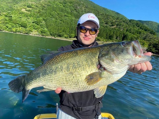 バス59cm 1匹 の釣果 22年6月2日 芦ノ湖フィッシングセンター おおば 神奈川 芦ノ湖 釣割