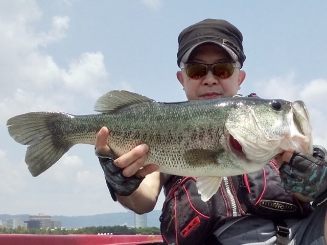 ブラックバス55cm の釣果 22年6月3日 小林貸船釣具店 滋賀 琵琶湖 釣割 ブラックバス55cm の釣果 22年6月3日 小林貸船釣具店 滋賀 琵琶湖 釣割