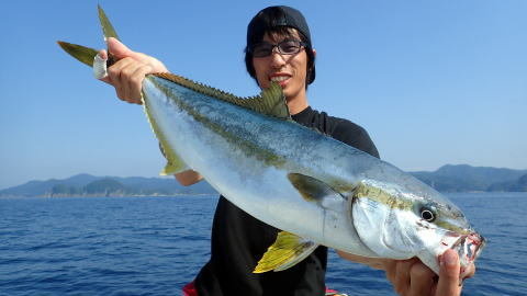 関西エリア ヒラマサの釣果情報をリアルタイム配信 22年7月版 関西エリア ヒラマサの釣果情報をリアルタイム配信 22年7月版