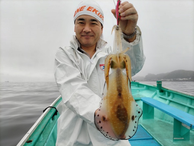千葉県で釣れたアオリイカの最新釣果 釣り情報 22年11月