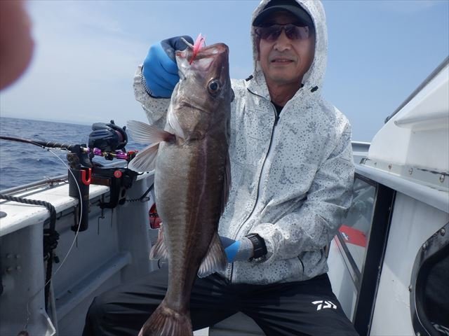 愛知県 アラの釣果情報をリアルタイム配信 22年7月版 愛知県 アラの釣果情報をリアルタイム配信 22年7月版