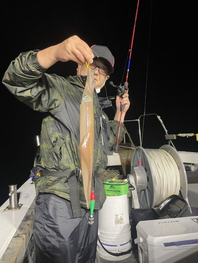 鳥取県で釣れたヤリイカの最新釣果 釣り情報 22年11月