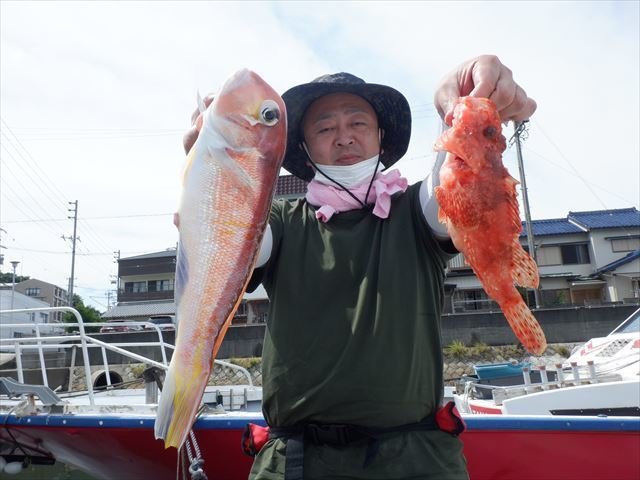 愛知県で釣れたアカアマダイの最新釣果 釣り情報 22年9月