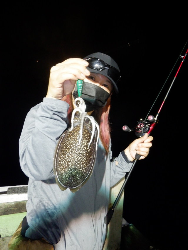 関西エリア コウイカの釣果情報をリアルタイム配信 22年7月版