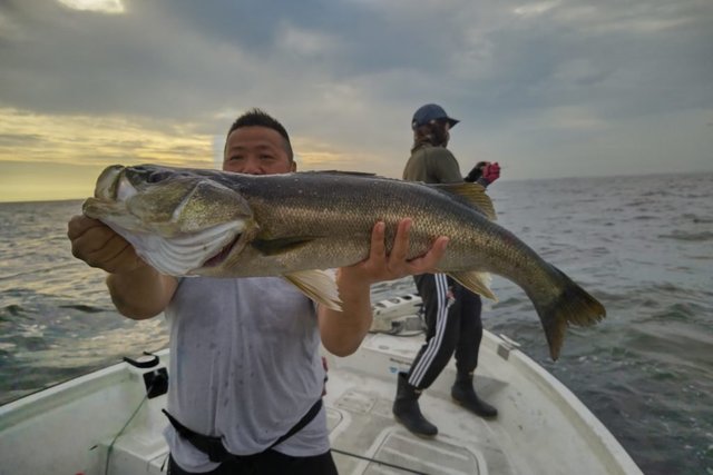 Real 公式サイト チャーターボート 川崎市 東京湾のシーバスガイド