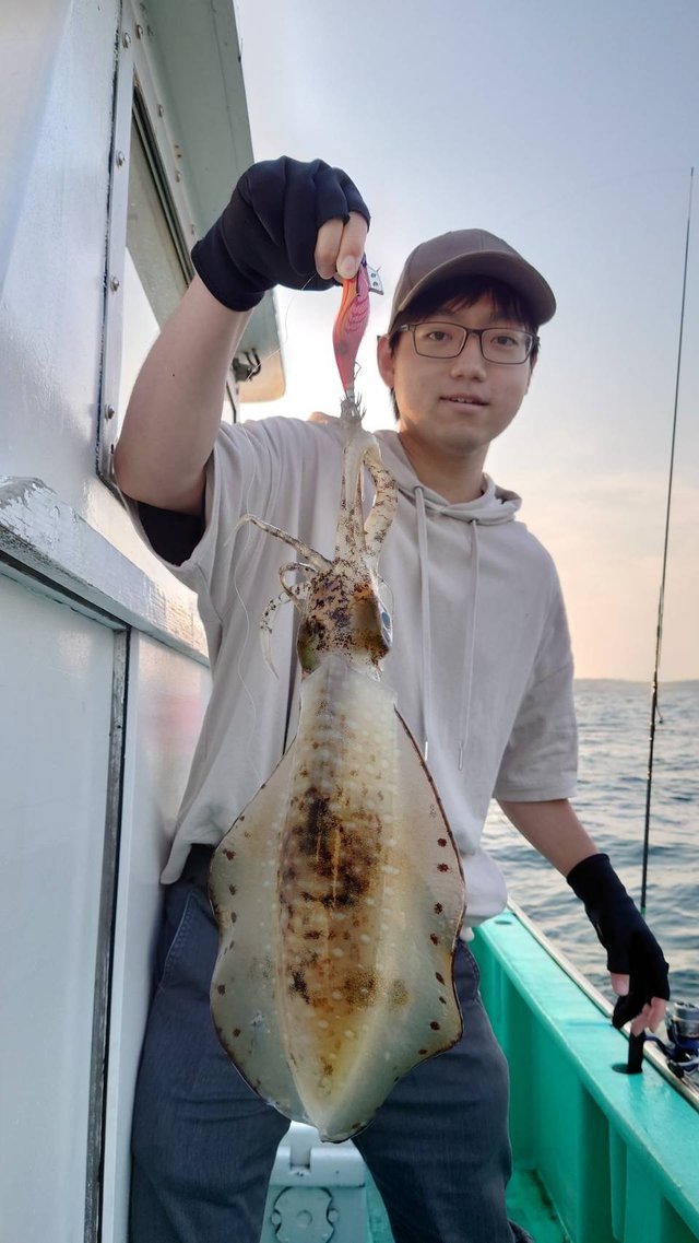 神奈川県で釣れたアオリイカの最新釣果 釣り情報 22年9月
