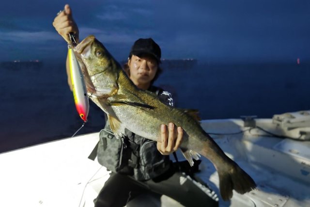 Real 公式サイト チャーターボート 川崎市 東京湾のシーバスガイド