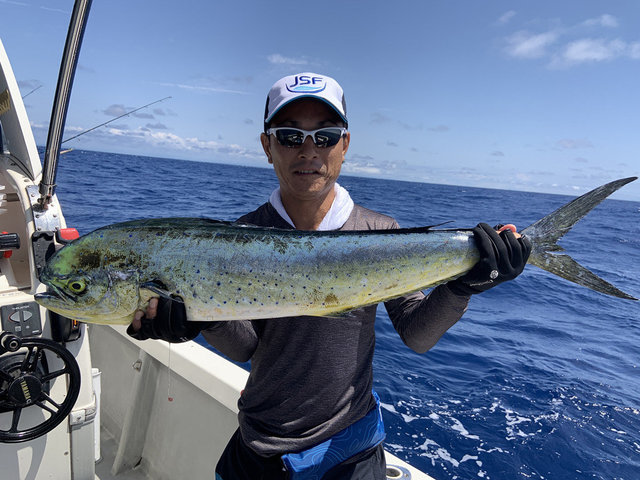 22年7月最新 オフショアフィッシングスクール 静岡県 の最新釣果情報