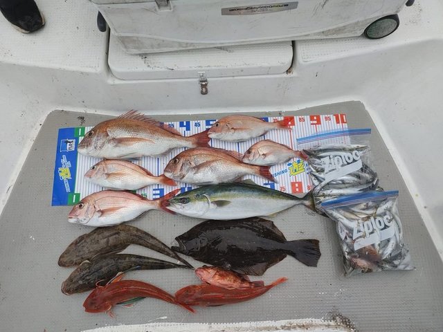 三重県で釣れたマゴチの最新釣果 釣り情報 22年9月