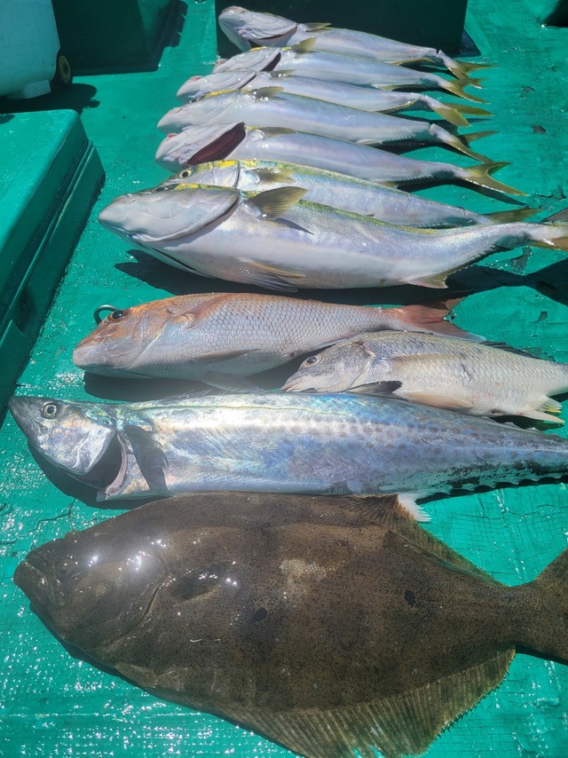 ヒラメ60cm 1匹 の釣果 22年7月28日 清風丸 和歌山 市堀川沿い 船釣り予約 キャスティング船釣り予約 ヒラメ60cm 1匹 の釣果 22年7月28日 清風丸 和歌山 市堀川沿い 船釣り予約 キャスティング船釣り予約